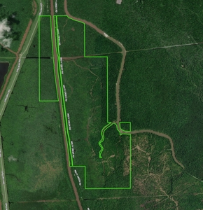 Hunting Recreational Property / Land For Sale In Louisiana - image 1