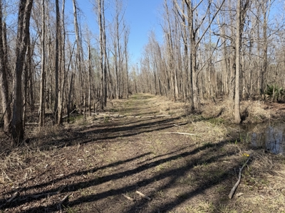 Hunting Recreational Property / Land For Sale In Louisiana - image 29