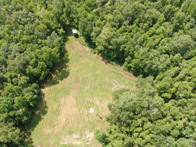 Hunting Recreational Property / Land For Sale In Louisiana - image 22