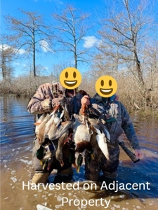 Hunting Recreational Property / Land For Sale In Louisiana - image 26