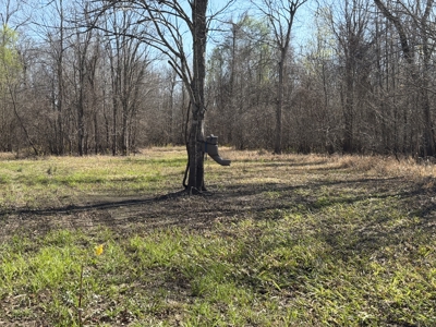 Hunting Recreational Property / Land For Sale In Louisiana - image 34