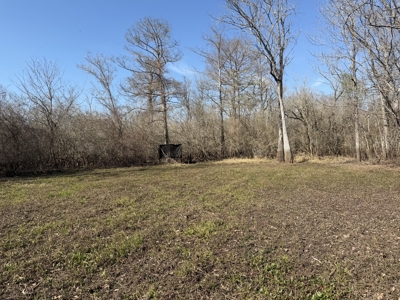 Hunting Recreational Property / Land For Sale In Louisiana - image 33