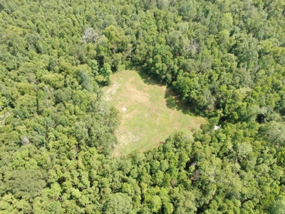 Hunting Recreational Property / Land For Sale In Louisiana - image 20