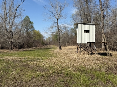 Hunting Recreational Property / Land For Sale In Louisiana - image 28
