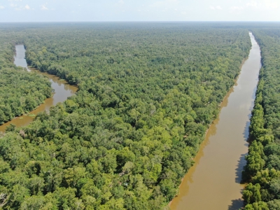 Hunting Recreational Property / Land For Sale In Louisiana - image 13