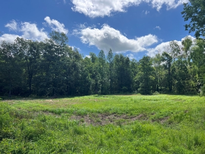 Hunting Recreational Property / Land For Sale In Louisiana - image 9