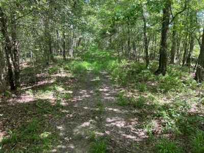 Hunting Recreational Property / Land For Sale In Louisiana - image 4