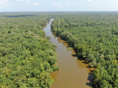 Hunting Recreational Property / Land For Sale In Louisiana - image 14