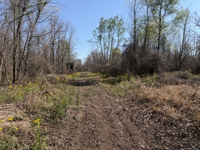 Hunting Recreational Property / Land For Sale In Louisiana - image 35