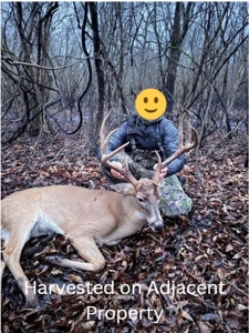 Hunting Recreational Property / Land For Sale In Louisiana - image 27