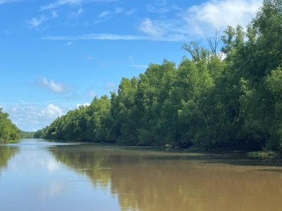 Hunting Recreational Property / Land For Sale In Louisiana - image 10