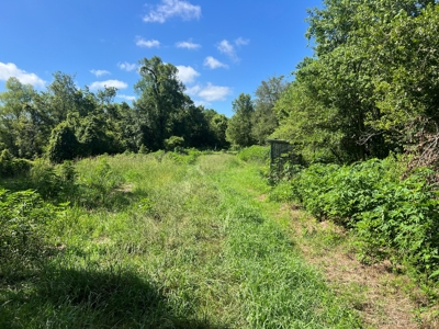 Hunting Recreational Property / Land For Sale In Louisiana - image 2