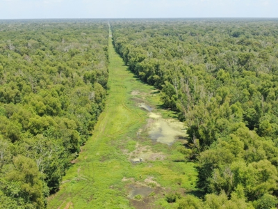 Hunting Recreational Property / Land For Sale In Louisiana - image 18