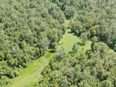 Hunting Recreational Property / Land For Sale In Louisiana - image 19