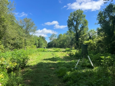 Hunting Recreational Property / Land For Sale In Louisiana - image 3