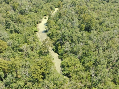 Hunting Recreational Property / Land For Sale In Louisiana - image 17