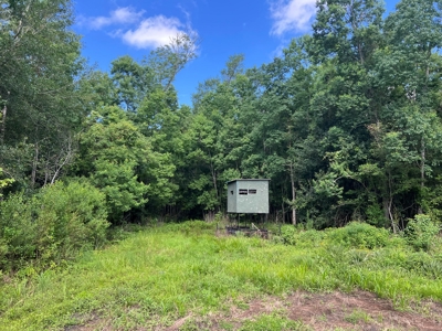 Hunting Recreational Property / Land For Sale In Louisiana - image 7