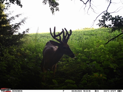 Northern MO Combo Farm - image 46