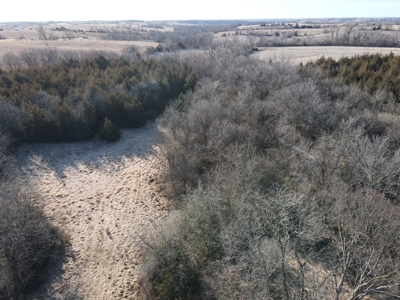 Northern MO Combo Farm - image 41