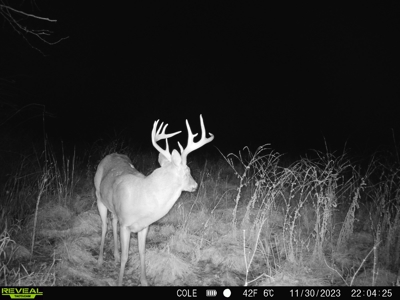 Northern MO Combo Farm - image 47
