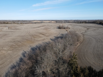Northern MO Combo Farm - image 36