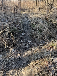Northern MO Combo Farm - image 6
