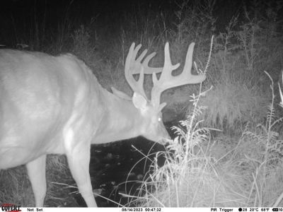 Northern MO Combo Farm - image 48