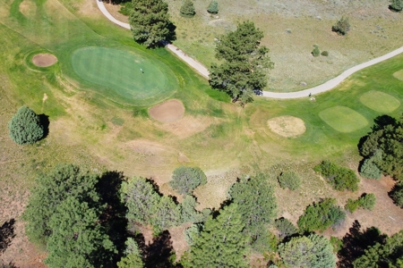 Townhome On the 12th Green For Sale In Ridgway, Colorado - image 42