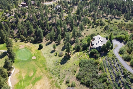 Townhome On the 12th Green For Sale In Ridgway, Colorado - image 47
