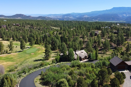 Townhome On the 12th Green For Sale In Ridgway, Colorado - image 50