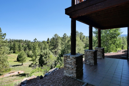 Townhome On the 12th Green For Sale In Ridgway, Colorado - image 35