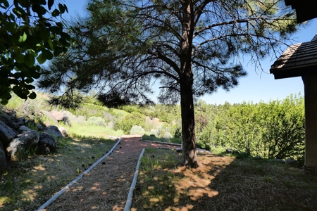 Townhome On the 12th Green For Sale In Ridgway, Colorado - image 36
