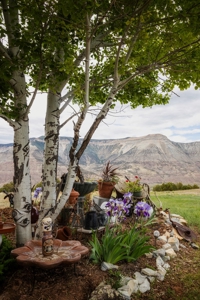 Colorado Ranch with hunting for sale - image 8