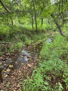 Acreage near Sam Baker State Park - image 18
