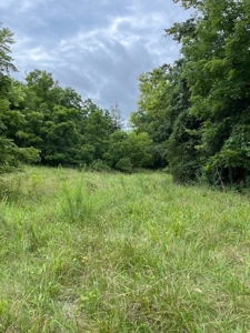 Acreage near Sam Baker State Park - image 16