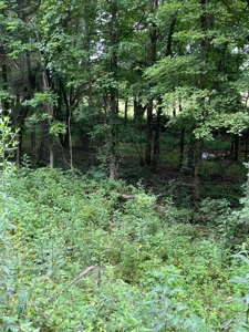 Acreage near Sam Baker State Park - image 24