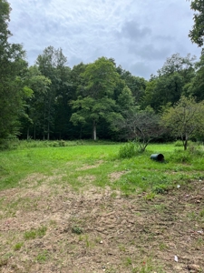Acreage near Sam Baker State Park - image 4