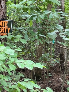 Acreage near Sam Baker State Park - image 23