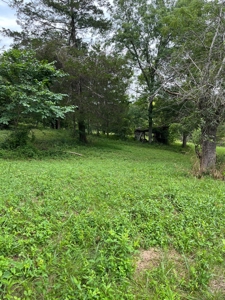 Acreage near Sam Baker State Park - image 8
