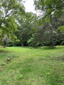 Acreage near Sam Baker State Park - image 12