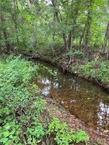 Acreage near Sam Baker State Park - image 17