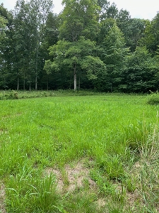 Acreage near Sam Baker State Park - image 7