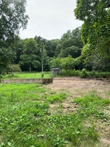 Acreage near Sam Baker State Park - image 1
