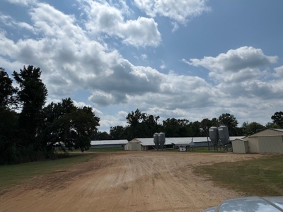 Number 1 Poultry Broiler Farm in East Texas For Sale - image 15