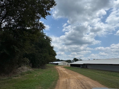 Number 1 Poultry Broiler Farm in East Texas For Sale - image 10