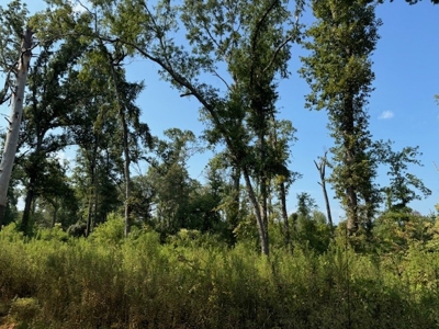Number 1 Poultry Broiler Farm in East Texas For Sale - image 1