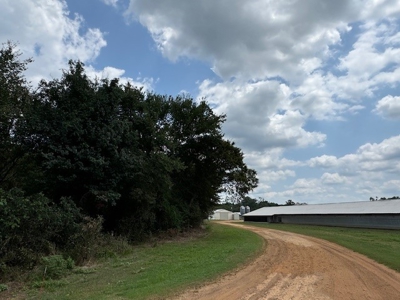 Number 1 Poultry Broiler Farm in East Texas For Sale - image 11