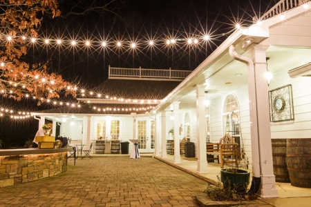 Wedding Venue for Sale in Georgia - image 3