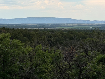 For Sale in Hesperus, CO! - image 2