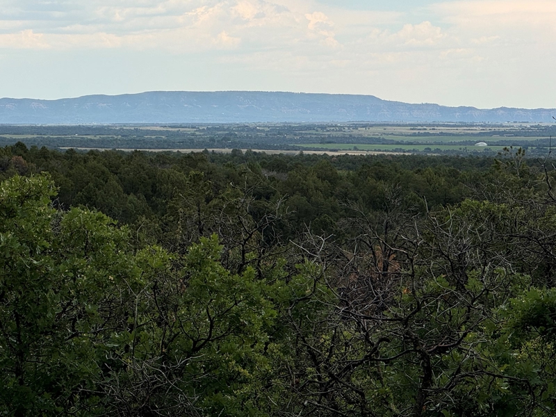 Lot 29, de Oro Way Hesperus